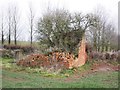 Collapsed farm building on Adder Lane in TA7 0BY