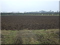 Ploughed field near Long Riston in HU11 5JQ