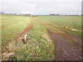 Fields, near Thurloxton in TA7 0BZ