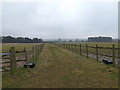 Path at Norton Heath Equestrian Centre in CM4 0JN