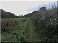 Footpath in the Vale of Nightshade in LA14 4RX