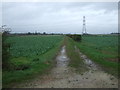 Farm track, Boughton in NG34 9QB