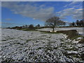 Snowy winter scene on path N from Marton Lane, Gawsworth in Gawsworth