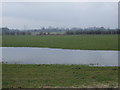 Waterlogged grazing west of Hull Road (A1174) in Woodmansey