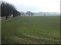 Crop field south of Hull Road (A1174) in HU17 0UU