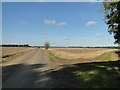 Stubble field beside Smuggler's Road in IP26 5BX