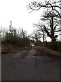 Fingrish Lane bridleway in CM4 0LP