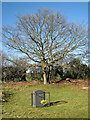 St Nicholas' church (churchyard) in Freethorpe