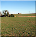 Crop fields north of Moulton Road in NR13 3AJ