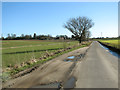 Approaching Halvergate on Moulton Road in NR13 3AJ