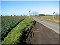Crop fields beside Moulton Road in NR13 3AJ