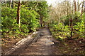 Woodland Track to Laughlanglen Road in KA7 4NQ