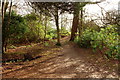 Path to the Recreation Ground at Rozelle in KA7 4NQ