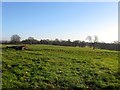 Long Field/Four Acres in Mid Sussex District