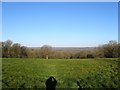 Furze Field in Mid Sussex District