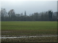 Crop field off Hull Road (A1174) in HU17 0TB