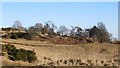 Rough grazing above Flawcraig in PH2 7RY