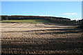 Fields at Tullibardine in DD8 2RP