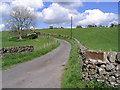 Farm road in DG3 5JL