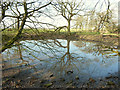 Pond near footpath off Malt Kiln Lane in L40 3SY