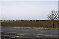 Flat farmland near Landbeach in CB25 9NN