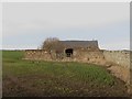 Derelict stone shed west of Adderstone Lowmill in NE70 7HT