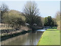 The New River between Lower Road and Amwell Hill, SG12 in SG12 9RP