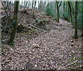 Path through Brownsen's Wood in PL7 5EN