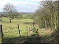 Bridleway to Morthen near Wood Piece in S66 9NQ