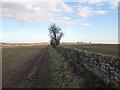 Footpath from Todwick towards South Anston in S26 1DJ