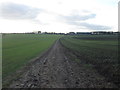 Bridleway towards Kiveton Hall Farm in S25 5JD