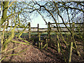 Stile on footpath between Malt Kiln Lane and Bentley Lane in L40 3SY