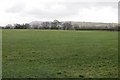 Field off Inglewhite Road in Lancashire
