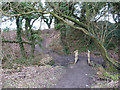 Footbridge over stream near Cranbury Ley Farm in WN4 0JJ