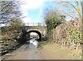 Railway bridge near Newton Greenways in NR15 1QB