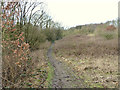 Path across old mine wasteland at Winstanley in WN3 6LR