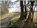 Public bridleway along Green Lane in NR15 1TS