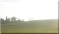 Yockleton: fields and the spire of Holy Trinity, from the railway in SY5 9PS