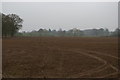 Ploughed field south of Bagley Lane in CW3 0DU