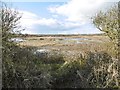 Lodmoor Nature Reserve in DT3 6HY