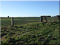 Field entrance off the A614 in YO25 4LF