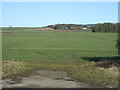 Flat farmland towards Nafferton Grange in YO25 4LF