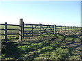 Field entrance off the A614 in YO25 5UR