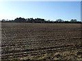 Farmland near Eastfield Farm in YO25 5UR