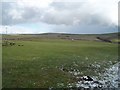 Fields near Waterswallows Road in Limestone Peak Ward