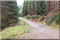 Forest road, Drummond Hill in PH15 2LU