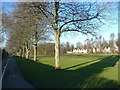 Avenue of trees in Ransom's Recreation Ground in SG4 9QW