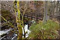 Footbridge, Falls of Moness in PH15 2DX