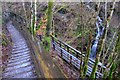 Steps and boardwalk, Birks of Aberfeldy in PH15 2DX