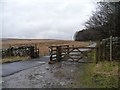 Cattle grid, Hardings Lane in LS29 0EG